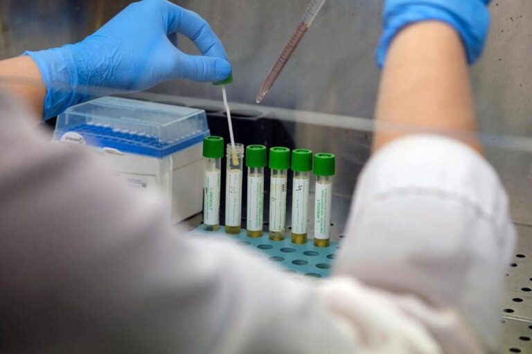 Allerta polio in Germania, virus selvaggio trovato in acque reflue ad Amburgo