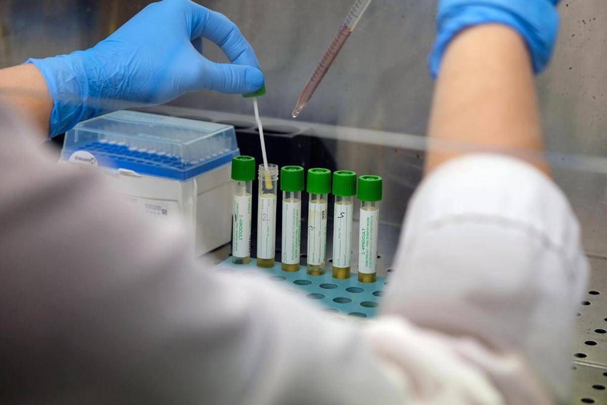 Allerta polio in Germania, virus selvaggio trovato in acque reflue ad Amburgo