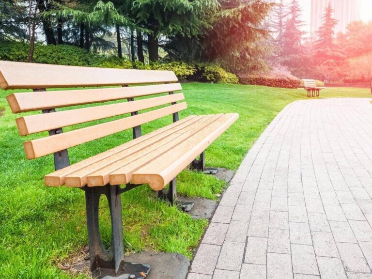 Più alberi in città, tutti i benefici del verde nei centri urbani