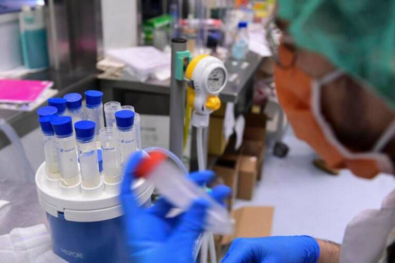 Legionella, il batterio che ama tubature e condizionatori: casi in aumento in Italia