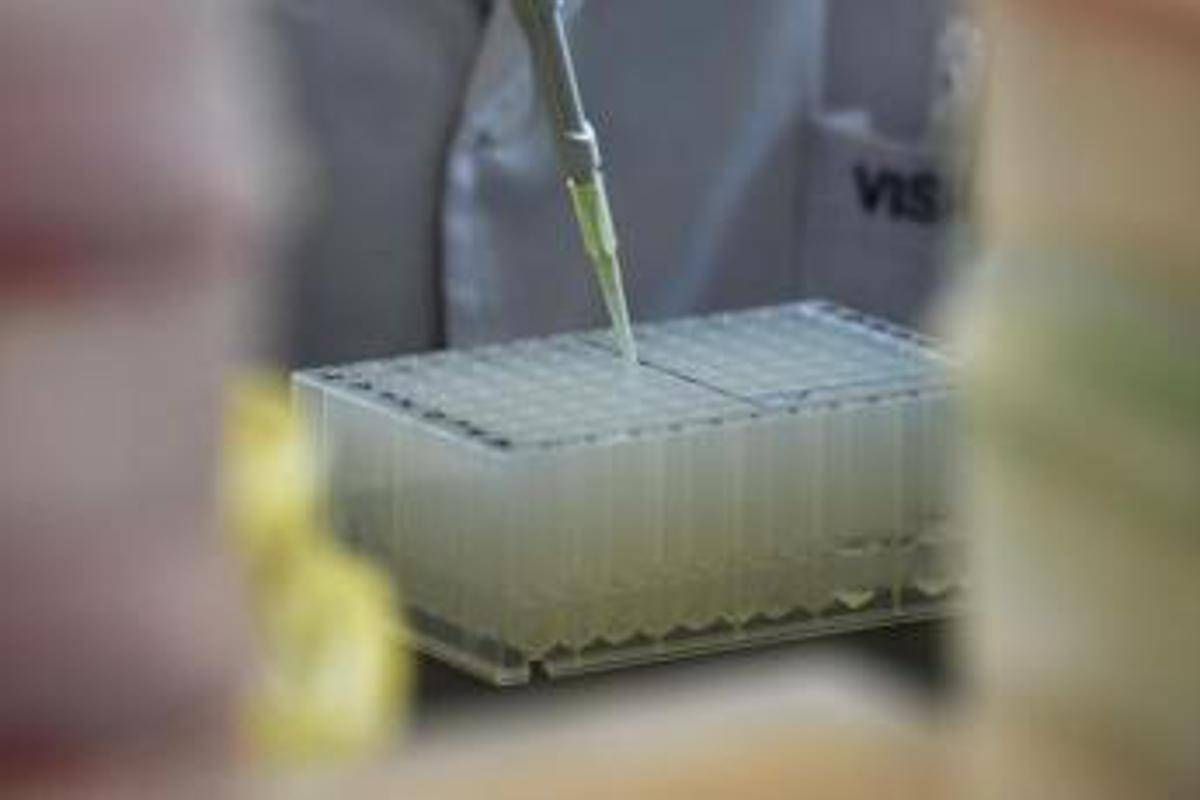 Cresce la moda del testosterone antiaging, funziona o fa male? Cosa dicono gli esperti