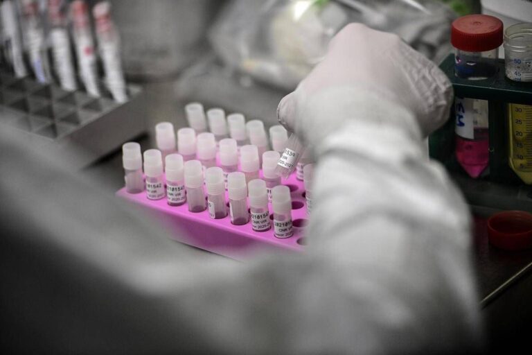 Covid, casi in aumento a luglio: anche il Sars-CoV-2 ha rialzato la testa