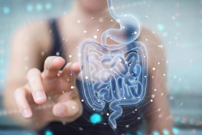 Malattie metaboliche, la svolta arriva dall’intestino: identificato batterio ‘protettivo’