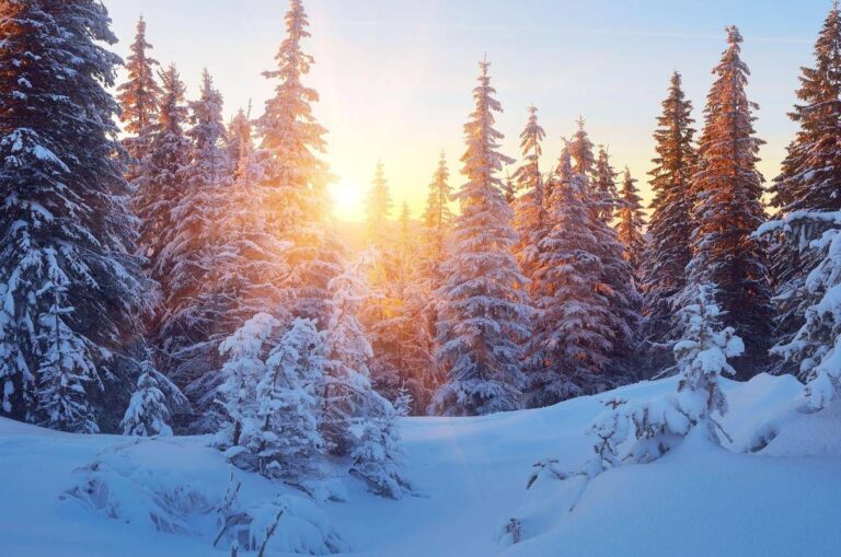 21 dicembre, ecco perché il solstizio d’Inverno è il giorno più corto dell’anno