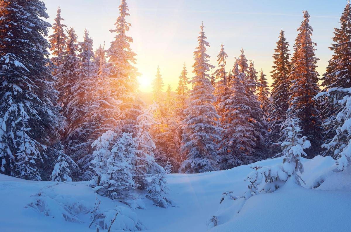 21 dicembre, ecco perché il solstizio d’Inverno è il giorno più corto dell’anno