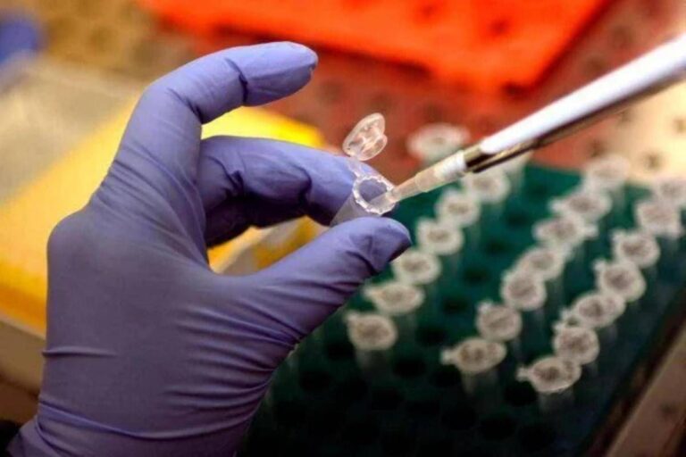 Intossicazione da botulino, sul food truck di Diamante più cibi contaminati: le analisi