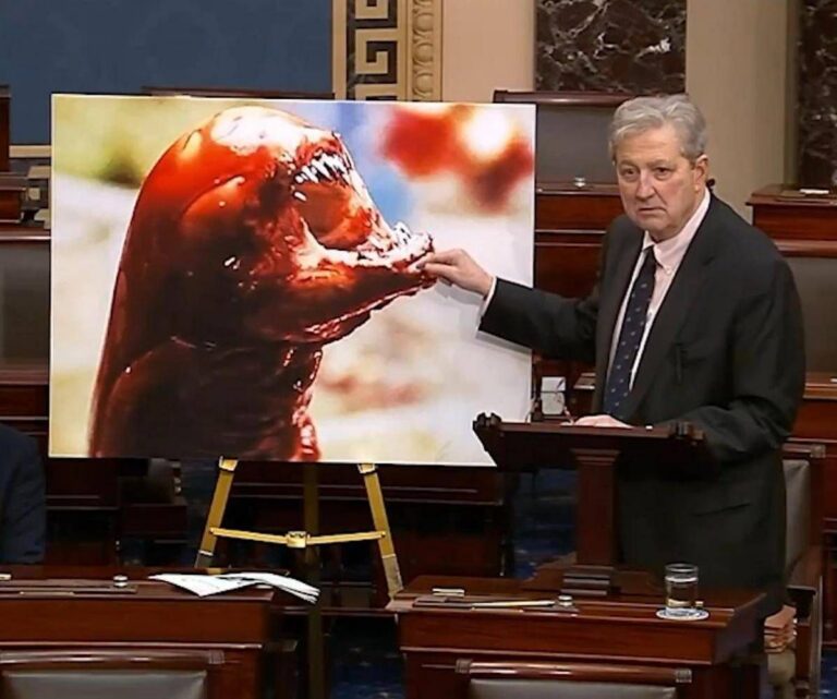 “I gamberi ti fanno diventare Alien”, l’allarme del senatore Kennedy