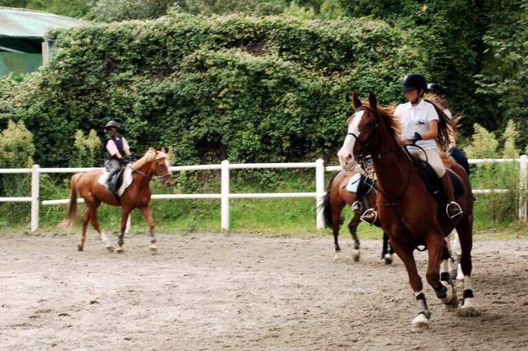 Milano, abusi su allieve minorenni: arrestato istruttore di equitazione