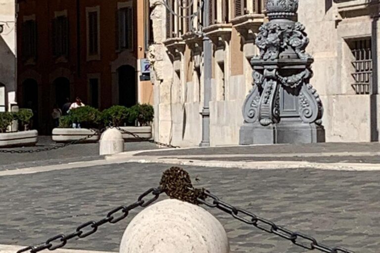 Sciame d’api a Montecitorio, transennato pilone all’ingresso