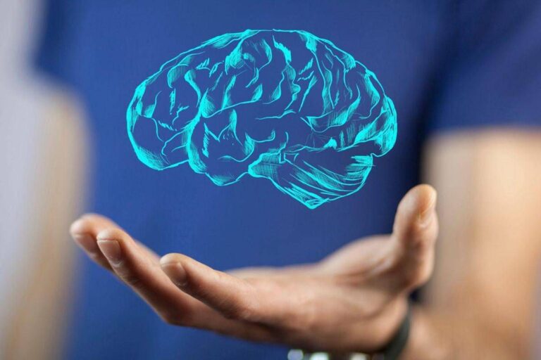 Il cervello cresce e invecchia, i 4 compleanni importanti per la mente: lo studio