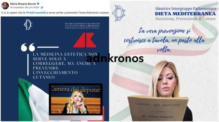 Maria Rosaria Boccia usa il logo della Camera per diete e ritocchini. Arriva la diffida di Montecitorio