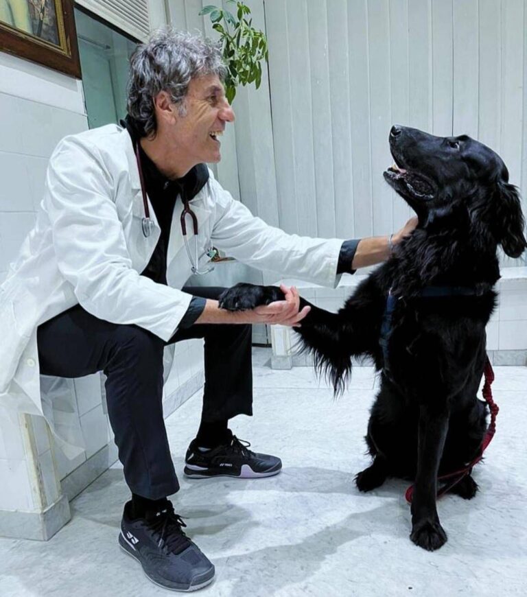 Perché i cani danno la zampa? Ecco come capire le richieste di Fido