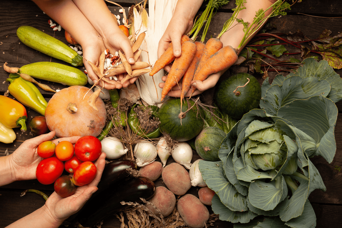 Agricoltura, ‘The Good Farmer Award’: i vincitori della II edizione