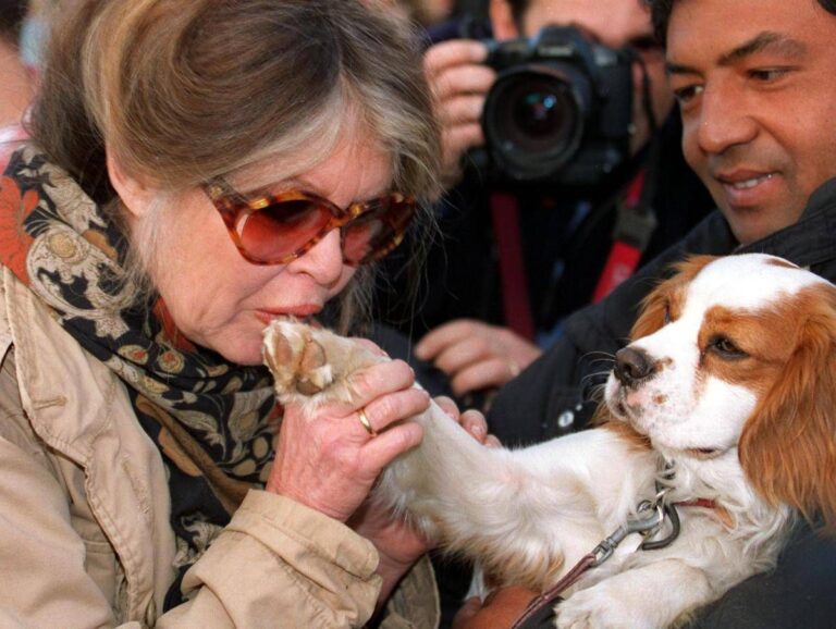 Brigitte Bardot, da diva del cinema a paladina degli animali