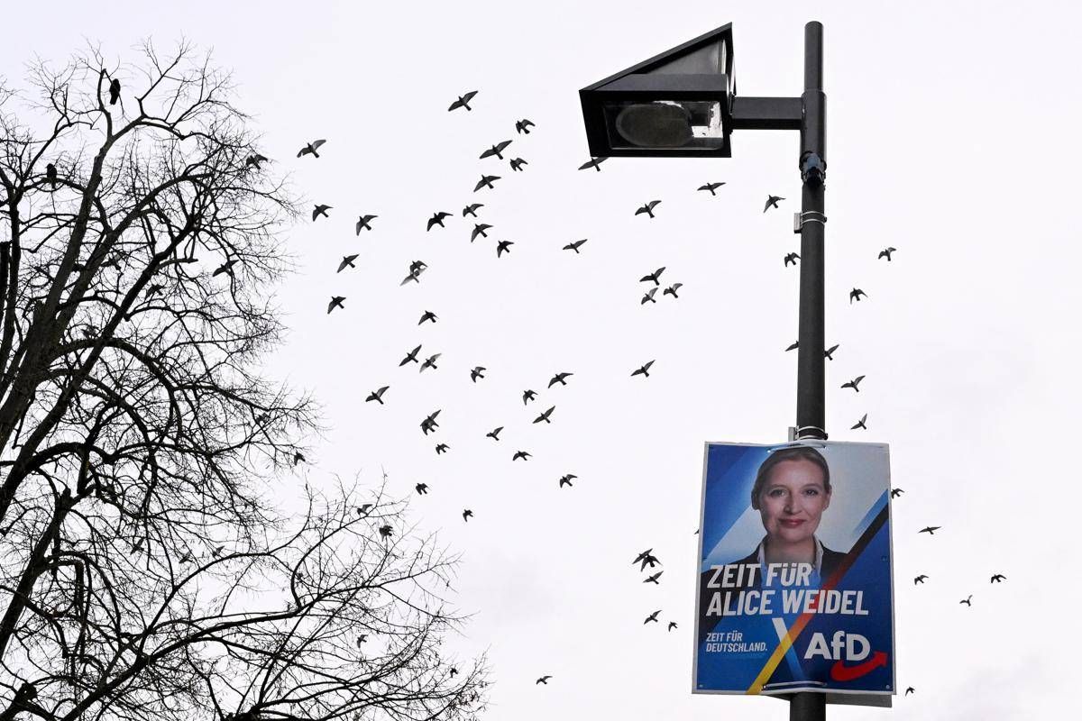 Germania, Afd primo partito: il sondaggio premia l’estrema destra