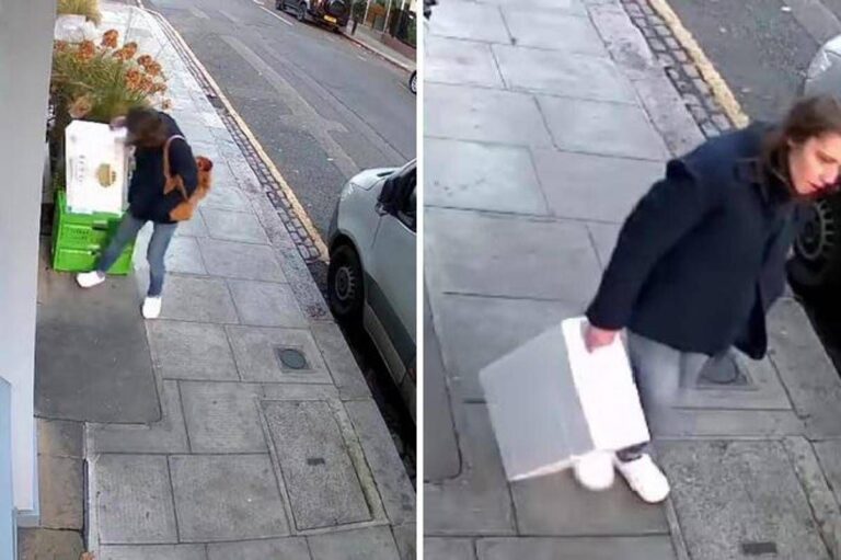 Londra, mistero della ‘ladra di langoustine’: rubati crostacei, manzo e orchidee rare