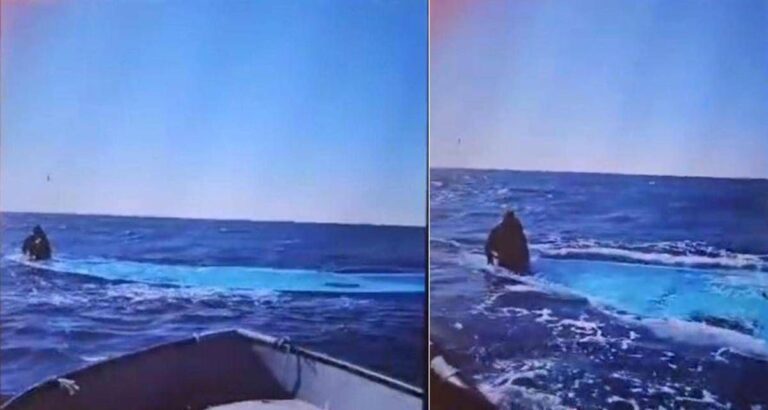 Migranti, Sea Watch: “116 morti in naufragio nel Mediterraneo centrale, solo uno tratto in salvo”