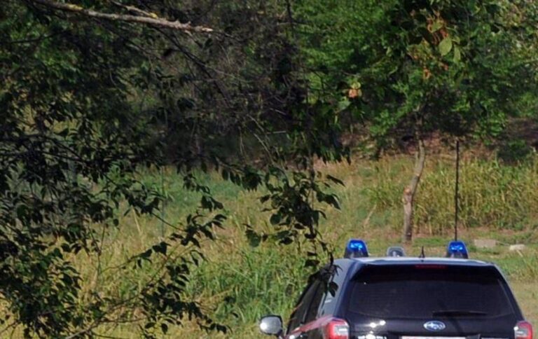 Spunta altro caso di famiglia nel bosco, bimbi allontanati dai genitori da un mese e mezzo