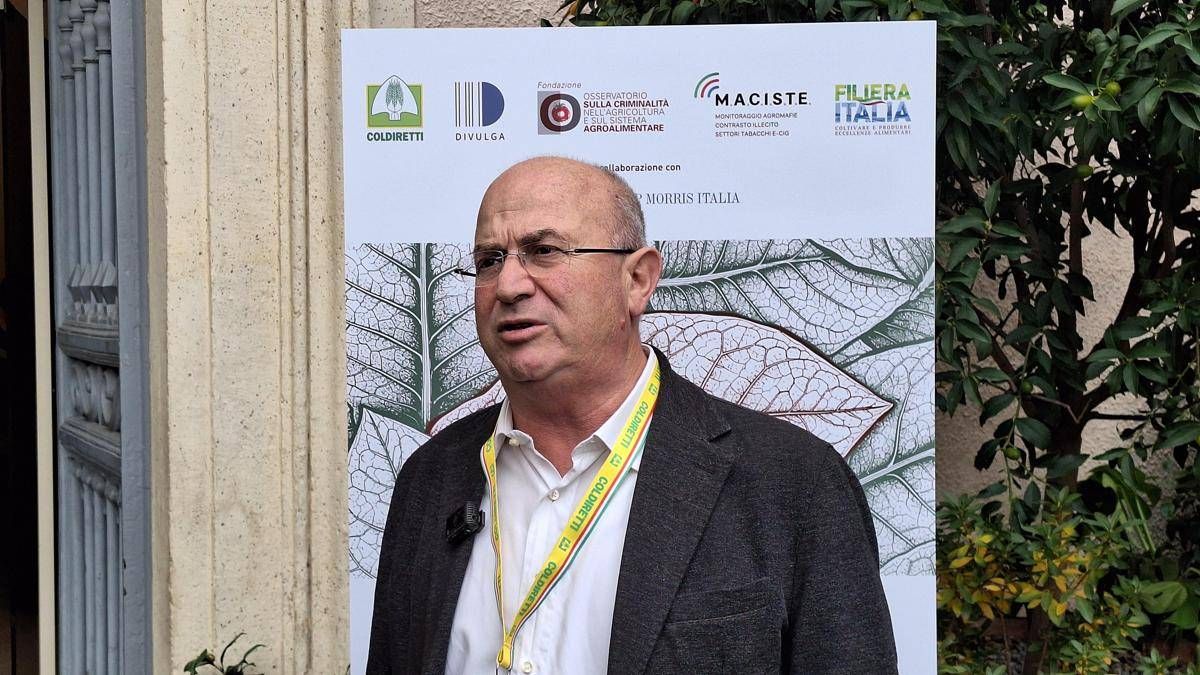 Tabacco, Trippella (Filiera tabacchicola italiana): “Rischio di arretrare con politiche europee”
