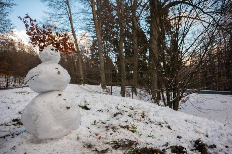 Perché si chiamano giorni della merla? Storia e mito dei giorni più freddi di gennaio