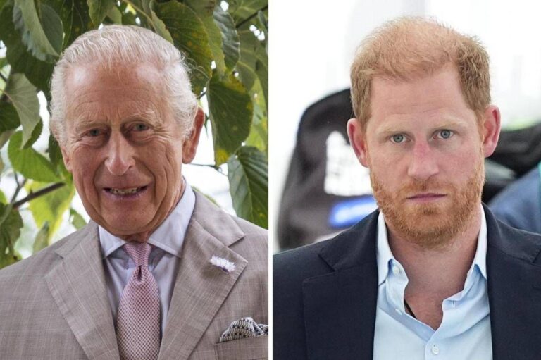 Re Carlo e Harry, nessun incontro a Londra alla fine del mese