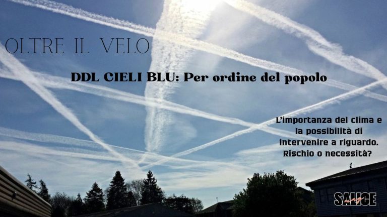 ddl cieli blu