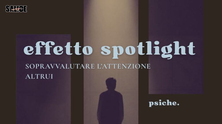 SPOTLIGHT WORDPRESS