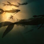 Sirene immagine 1280x720
